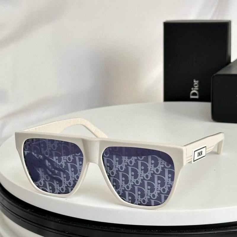 DIOR Sunglasses 494